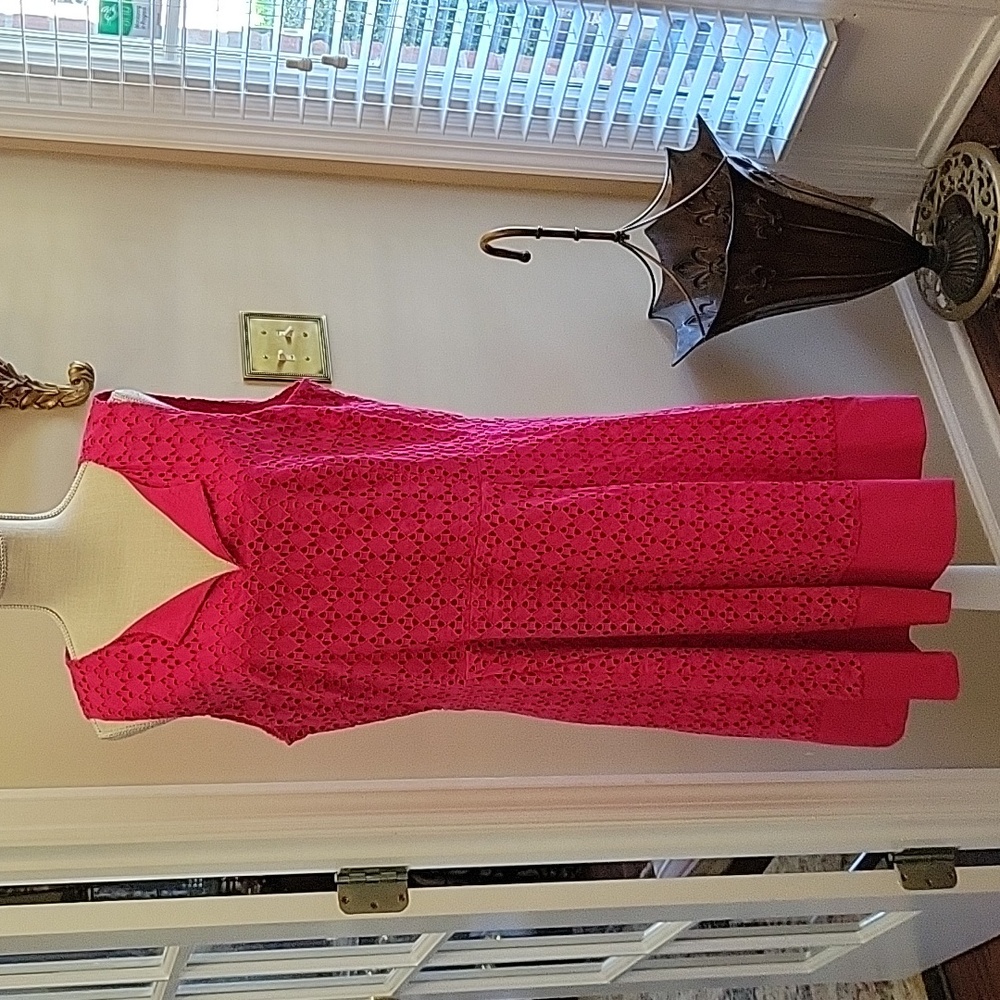 Calvin Klein raspberry sleeveless lace dress fully lined Vneck pleated 16 EUC…